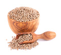 Coriander Seeds